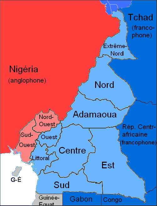 Kameruni ametikeeled